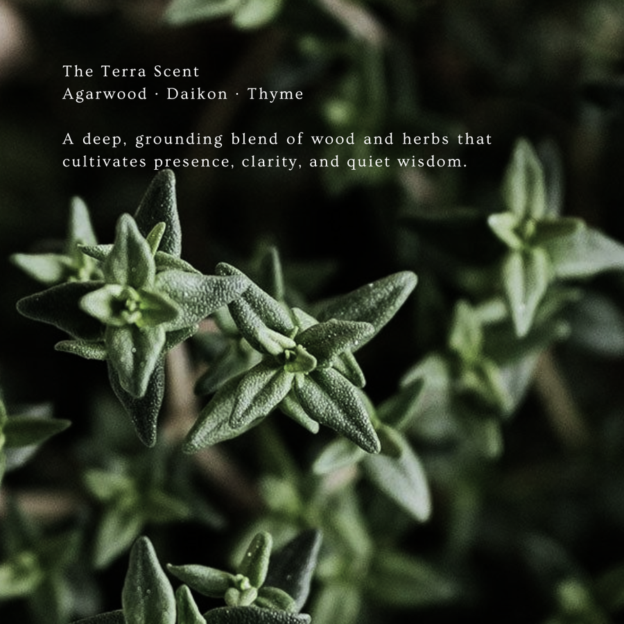 Essential Oil Roller