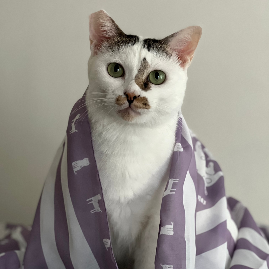 Maneki Neko Tea Experience