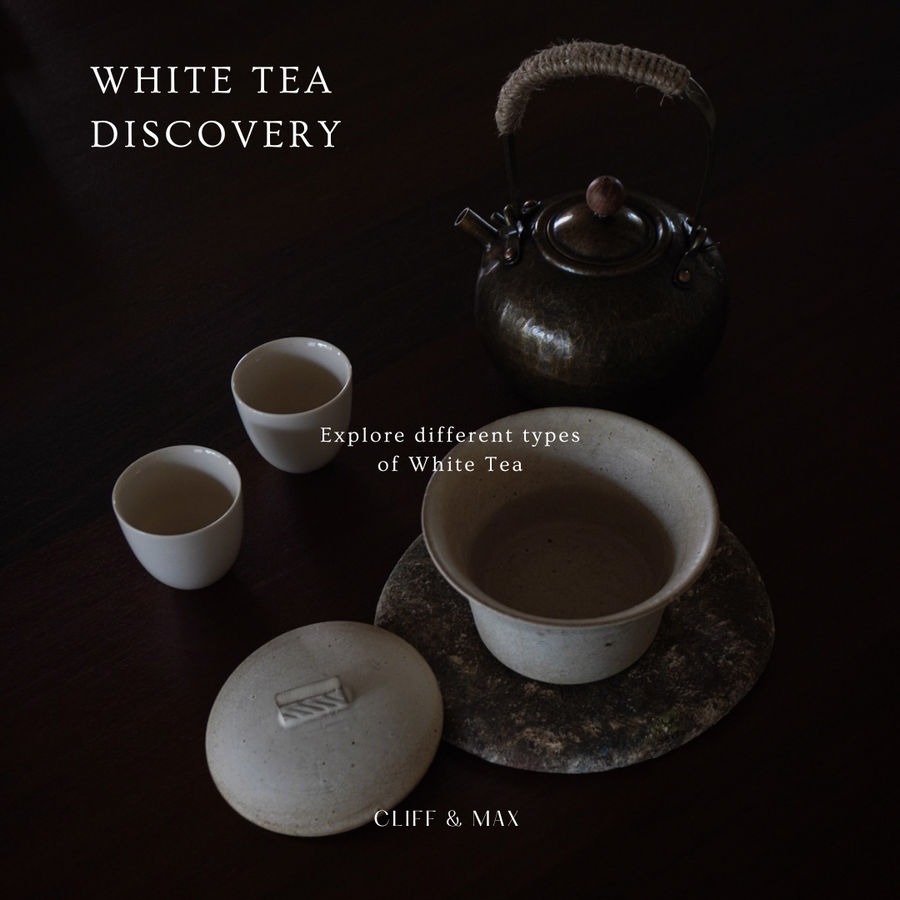 White Tea Discovery