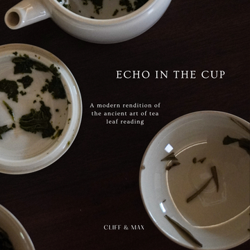 Echo Of The Cup: A Modern Tea Leaf Reading