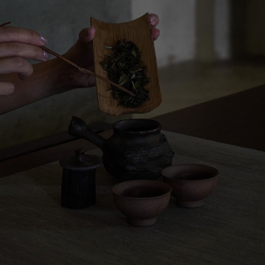 White Tea Discovery