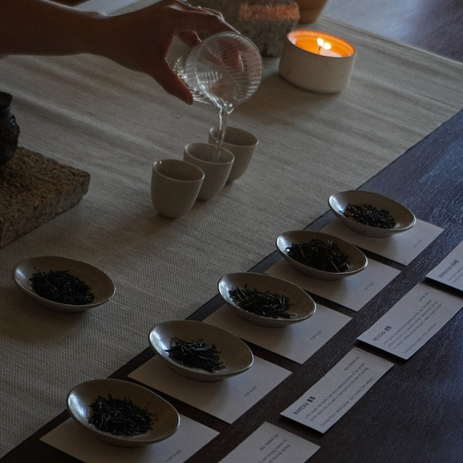 Tea Discovery - Japanese Tea