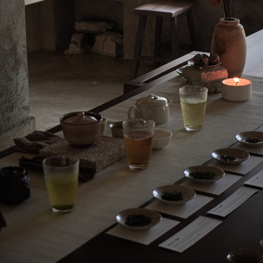 Tea Discovery - Japanese Tea